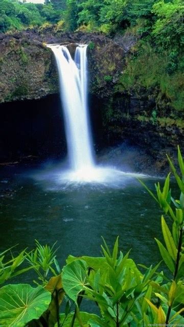 Rainbow Tropical Rainforest Waterfalls Backgro Wallpapers Desktop