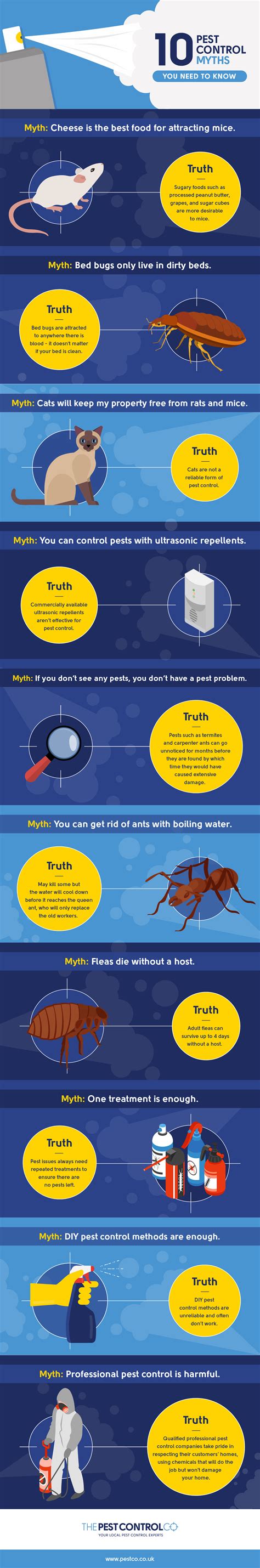 Pest Control Myths [Infographic] | Mighty Infographics