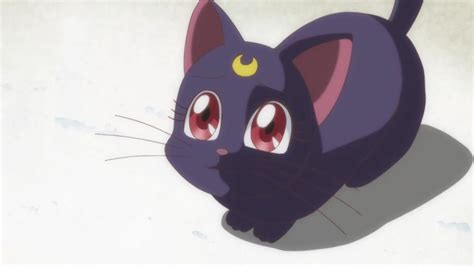 10 Cutest Anime Animals Of All Time My Otaku World