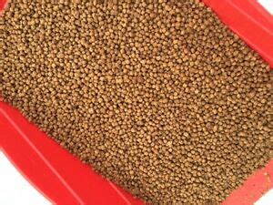 You, the customer, the quality of our fish, koi health and great prices!wholesale pricing 1 lb Bulk 36% Protein Fish Food Mini-Pellets Koi Goldfish ...