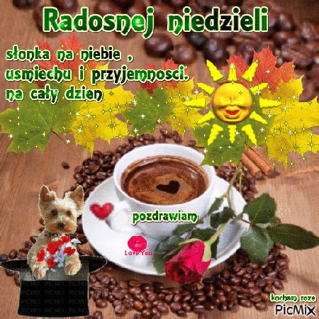 Pięknej słonecznej niedzieli pozdrawiam - Życzenia na GifyAgusi.pl