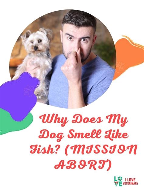 Why Does My Puppys Pee Smell Like Fish