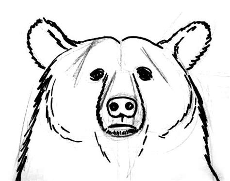 Here is a tutorial about how to draw a black bear in 9 simple steps! How to draw a head and face of a bear