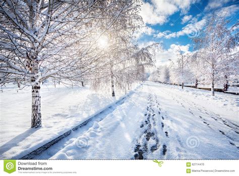 Beautiful Winter Park Stock Photo Image 62714470
