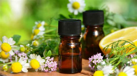 Essential Oils And Therapy Inspiring Wellness Solutions Llc