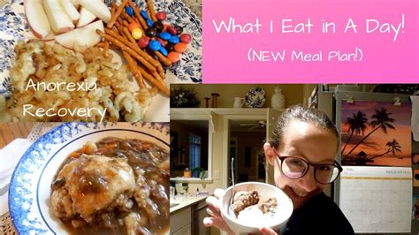 What I Eat In A Daynew Meal Plananorexia Recovery Youtube