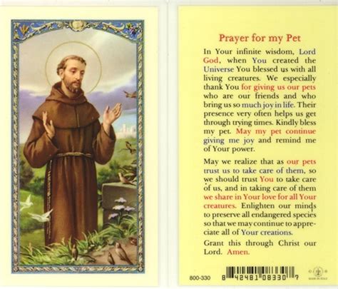 We did not find results for: Saint Francis - Prayer for my Pet - Laminated Prayer Card