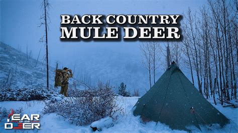 Backcountry Rifle Mule Deer Hunt 4k Film Youtube