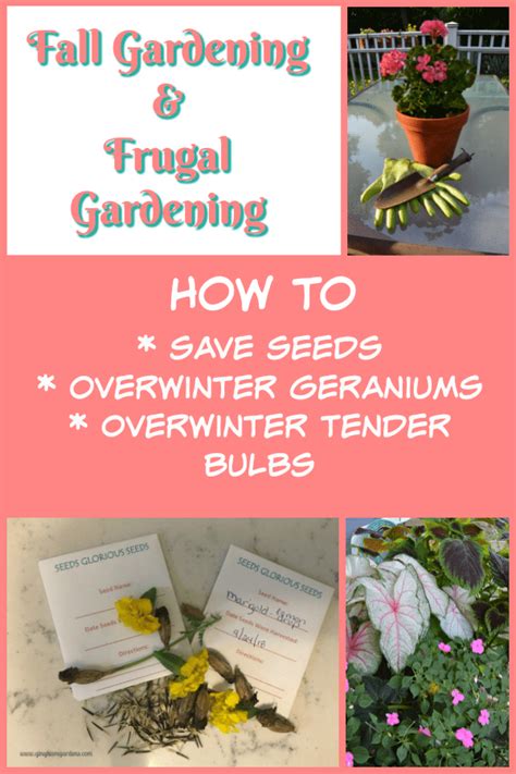 Fall Gardening And Frugal Gardening Thinking Ahead To Next Spring