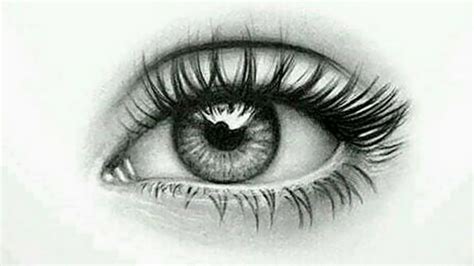 Step By Step Drawing Realistic Eyes Step By Step Drawing Realistic Eyes Bodegawasues