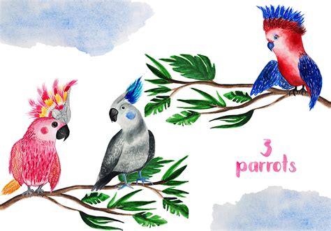 Tropical Party Watercolor Parrots On Behance