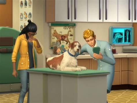 ‘the Sims 4 Cats And Dogs Are On The Way Addition Of Veterinary