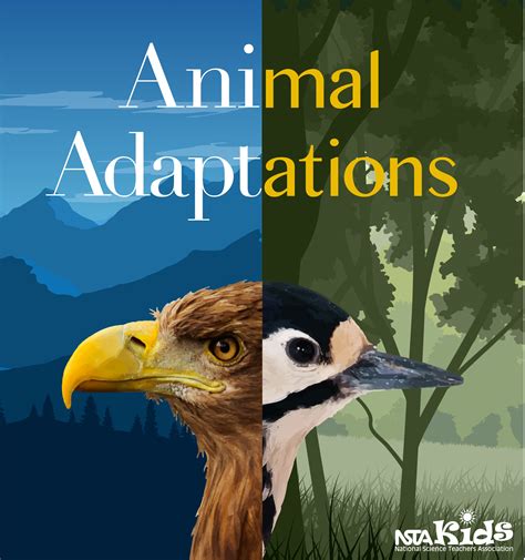 Animal Adaptations E Book National Science Teaching Association