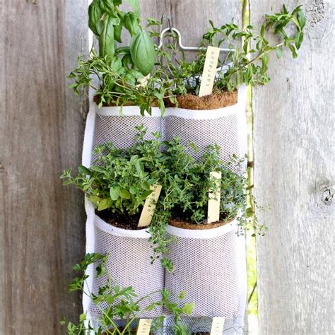 Hanging Herb Garden Diy And Benefits The Country Chic Cottage