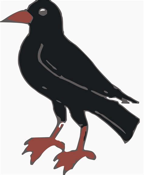 Clipart Crow