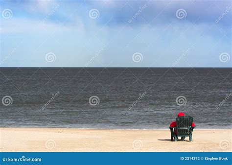 Alone On The Beach Stock Photo Image Of Looking Fall 2314372