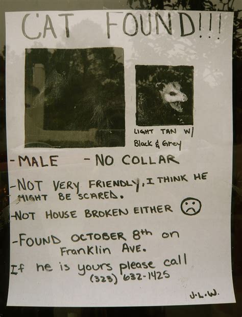 For example, if you lost your cat it should say lost cat. the goal should be to have a clear and readable header that can easily be seen from a distance if you are using a tablet or phone to make this poster, a great app to use would be pages. DIGYOUROWNGRAVE.COM - Cat Found - Not Very Friendly