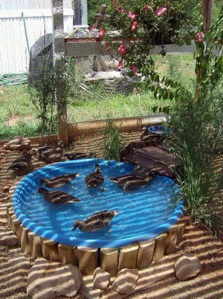 More images for how to build a small duck pond » Easy-Clean-Duck-Pond-1-447x600 - The Cape Coop