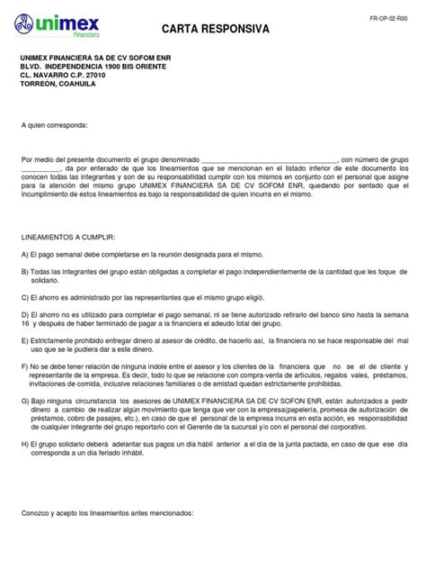 Carta Responsiva Dinero Pagos