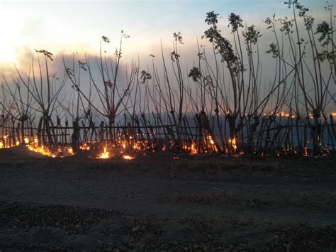 Kebakaran hutan dan lahan menimbulkan kabut asap tebal, salah satunya di riau. Atasi Karhutla, Gubernur NTB Ambil Langkah Cepat Jaga Aset ...