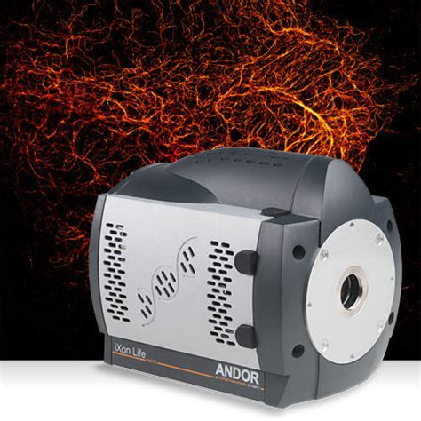 Andor Launches Ixon Life For Fluorescence Microscopy Oxford Instruments