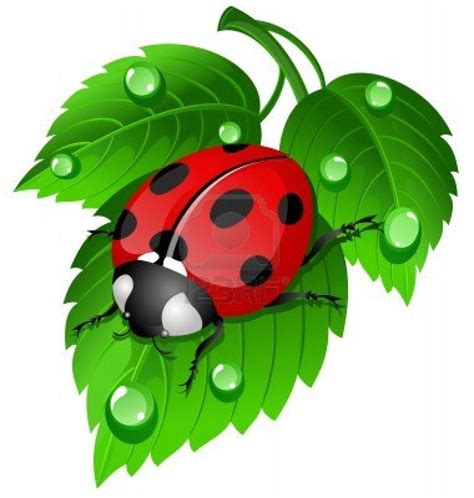Cute Ladybug Ladybug Art Painting Ladybug
