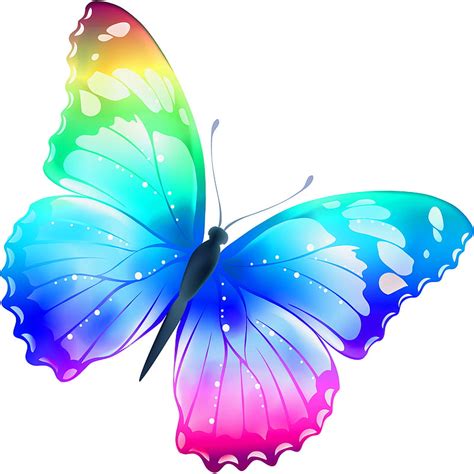 Rainbow Butterfly Butterflies Hd Phone Wallpaper Peakpx