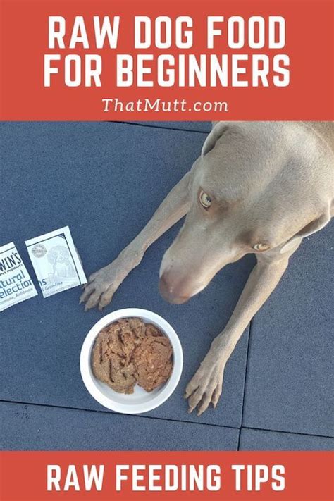 Raw dog food recipes, like natural instinct's, are based on the biologically appropriate raw feeding (the 'barf' principal) which includes fruit and vegetables as part of the diet. Raw Dog Food for Beginners - DIY Raw Feeding | That Mutt ...