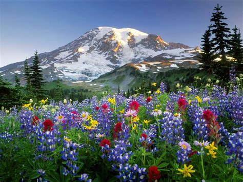 Spring In Mountains Wallpaper Nature Wallpaper Nature Photos