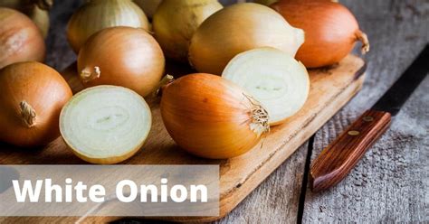 How much onion is 2 shallots? 6 Best Shallot Substitutes in 2020 » Recipefairy.com