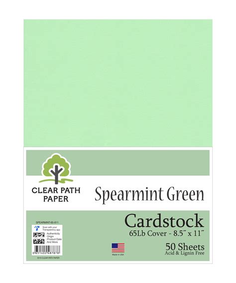 Spearmint Green Cardstock 85 X 11 Inch 65lb Cover 50 Sheets