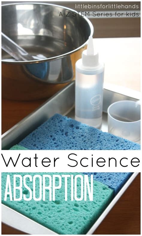 Absorption Science Water Experiment And Stem For Kids