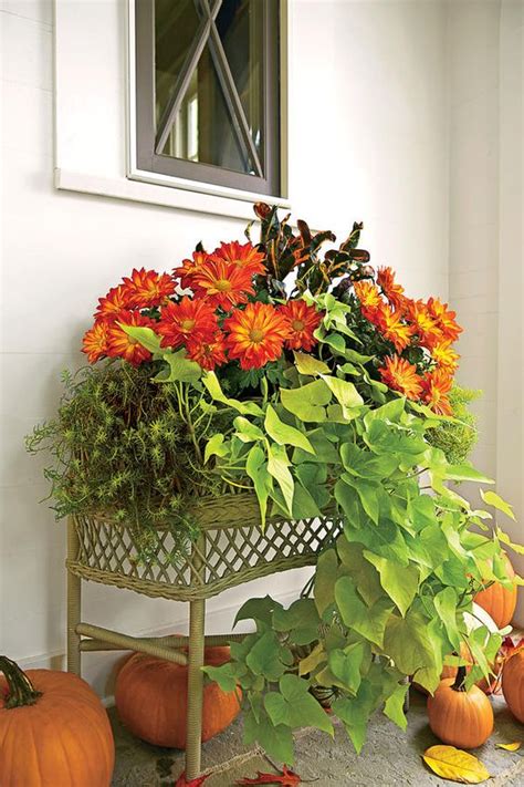 5 Fall Container Gardening Ideas For Your Patio Hope Reflected