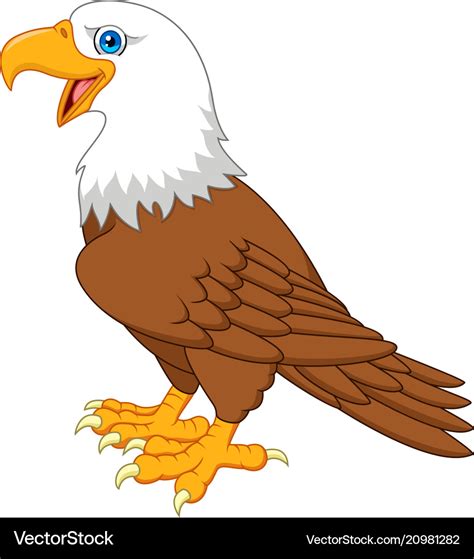 Cartoon Bald Eagle Royalty Free Vector Image Vectorstock