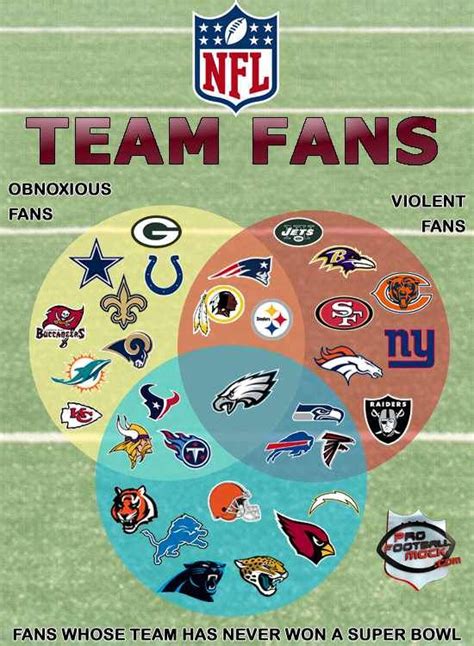 The Nfl Teams With The Largest Fan Bases Uncovering The True Powerhouses