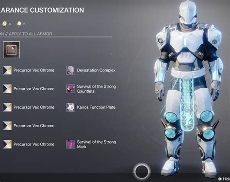 What if all you ever wanted… : r/DestinyFashion