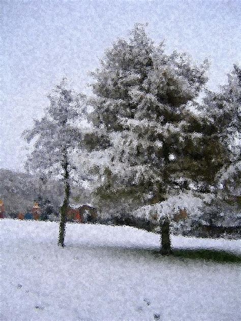 Pastel Snow Tree Photograph By Judith Murphy Fine Art America