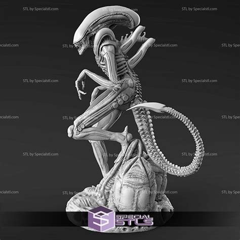 Alien Xenomorph Stl Files Standing V2 From Aline 3d Model Specialstl