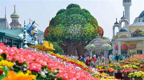 Everland theme park is south korea's largest theme park and it even comes with an integrated zoo! 30% Off Everland Korea Theme Park Tickets - Klook