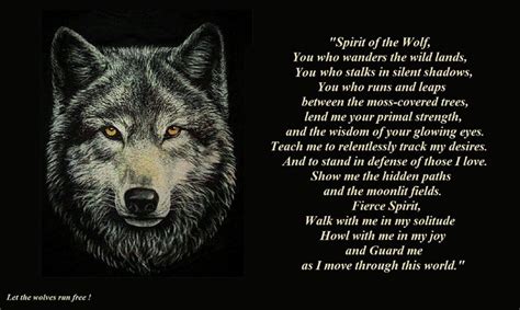 Wolf Spirit Quotes Quotesgram