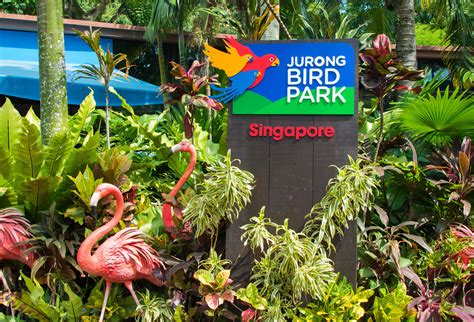 The color laserjet pro m254nw printer by hp is, like the other tested devices of the category, just ideal for printing and is not appropriate for copying or. Bird Park : Penang Bird Park Home Facebook : Любите и ...
