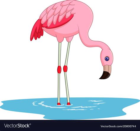 Cartoon Flamingo Royalty Free Vector Image Vectorstock