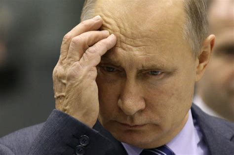 Vladimir Putin health: Russian leader cancels meetings over illness 