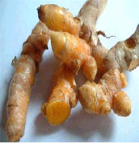 Selain itu, akan mudah juga bagimu untuk menemukan daun kelor yang rupanya berlimpah di indonesia. Obat Maag Tradisional: Resep Obat Maag Tradisional Super Ampuh