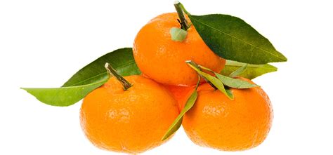 17 Health Benefits of Satsuma Orange #1 Beauty Treatments - Dr Heben