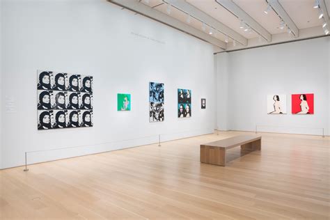 ‘the New Contemporary At Art Institute Of Chicago