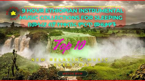 9 Hour Ethiopian Instrumental Music Collections For Study And Sleeping