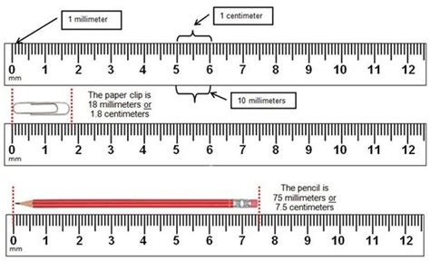 Where Are Millimeters On A Ruler Printable Metric Ruler Tims