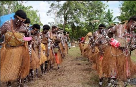 Pakaian Adat Papua Beserta Gambar Dan Penjelasannya Chintia Febriani