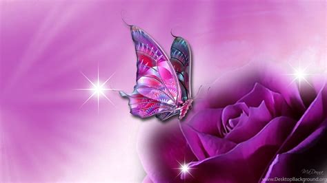 Beautiful Butterfly Wallpapers Hd Pictures Desktop Background